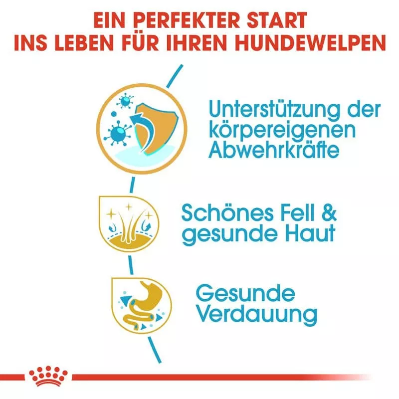 BHN Golden Retriev.Junior 12kg